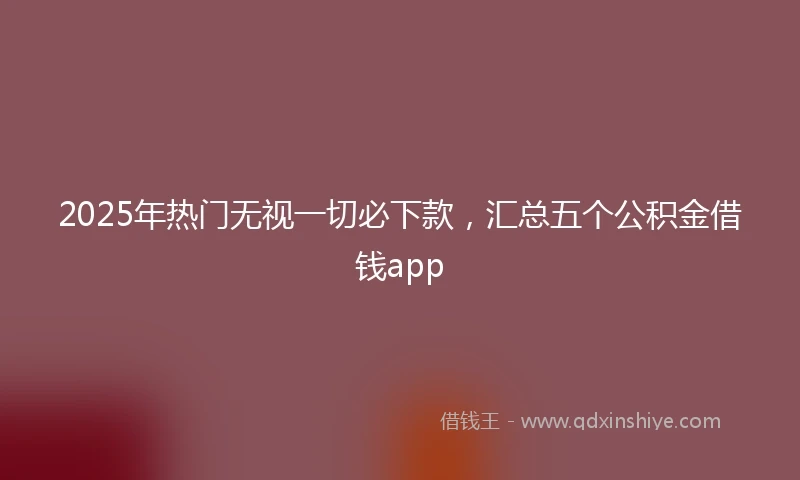 2025年热门无视一切必下款，汇总五个公积金借钱app