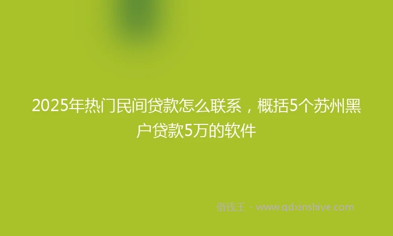 2025年热门民间贷款怎么联系，概括5个苏州黑户贷款5万的软件