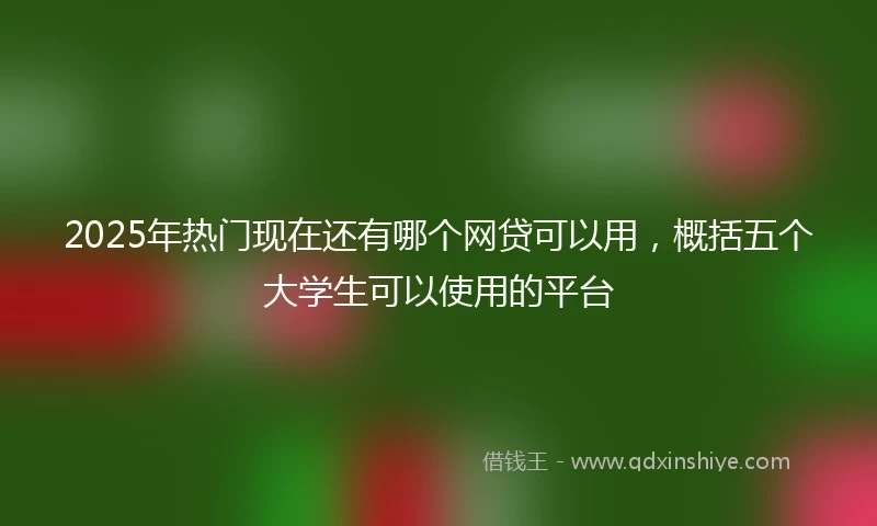 2025年热门现在还有哪个网贷可以用，概括五个大学生可以使用的平台