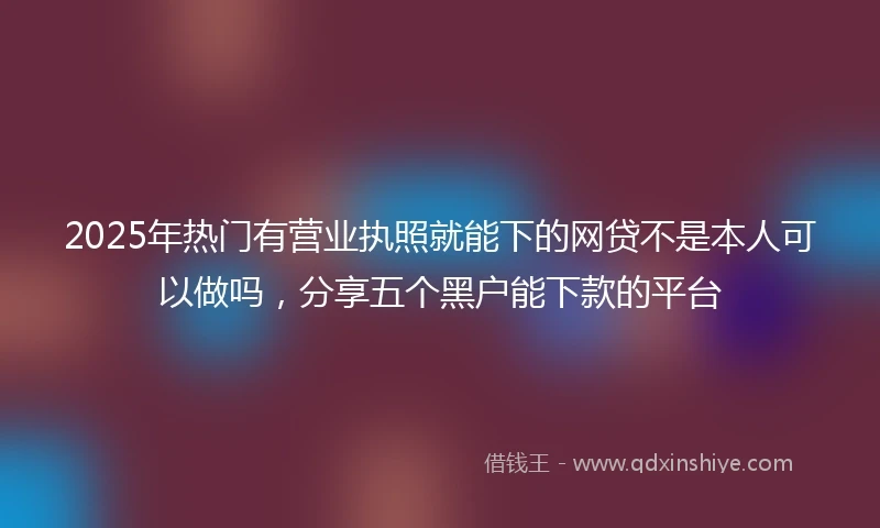 2025年热门有营业执照就能下的网贷不是本人可以做吗，分享五个黑户能下款的平台