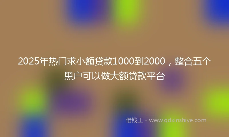 2025年热门求小额贷款1000到2000，整合五个黑户可以做大额贷款平台
