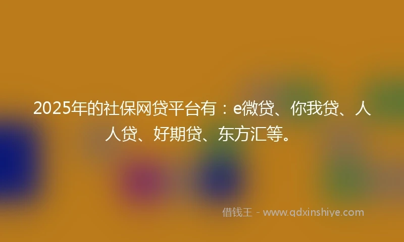 2025年的社保网贷平台有：e微贷、你我贷、人人贷、好期贷、东方汇等。