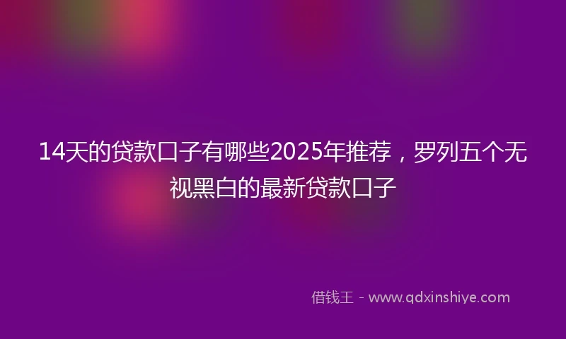 14天的贷款口子有哪些2025年推荐，罗列五个无视黑白的最新贷款口子