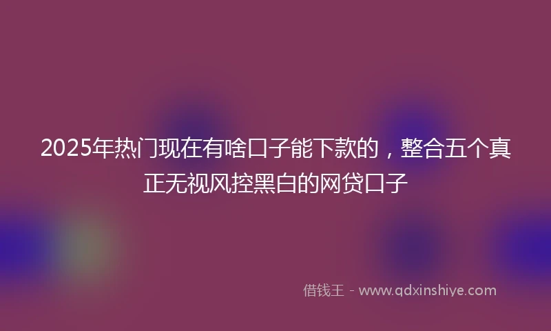 2025年热门现在有啥口子能下款的，整合五个真正无视风控黑白的网贷口子