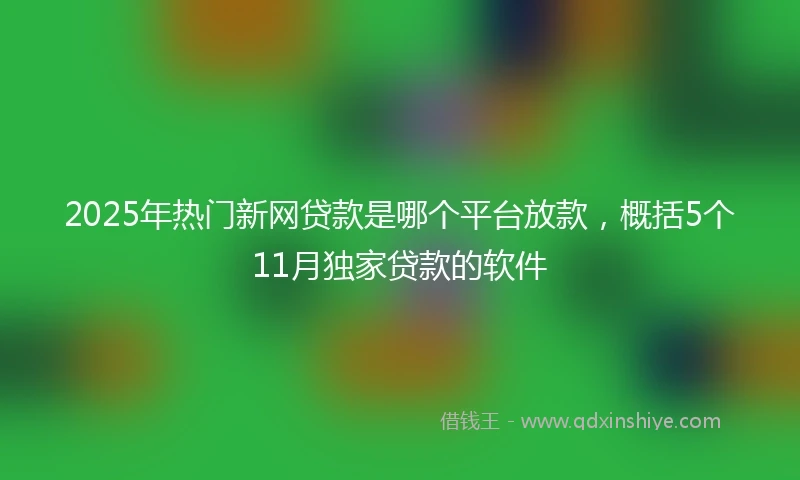 2025年热门新网贷款是哪个平台放款，概括5个11月独家贷款的软件
