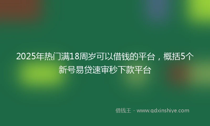 2025年热门满18周岁可以借钱的平台，概括5个新号易贷速审秒下款平台