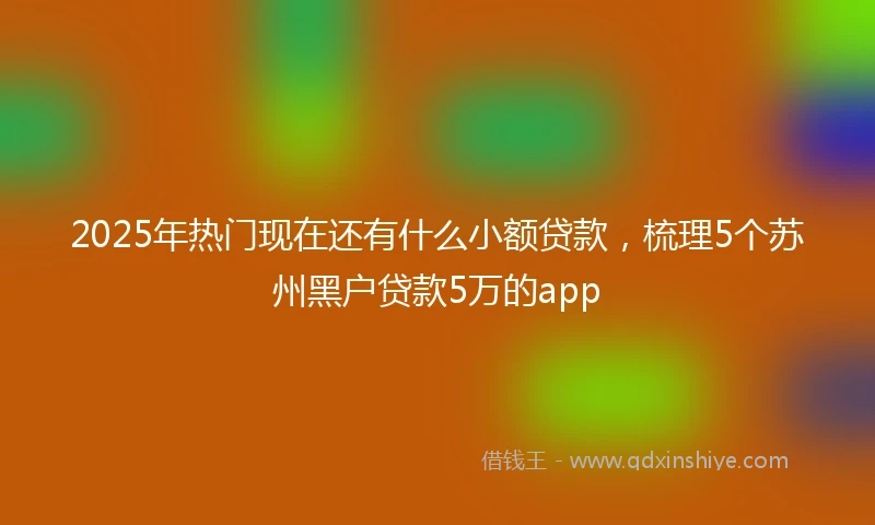 2025年热门现在还有什么小额贷款，梳理5个苏州黑户贷款5万的app