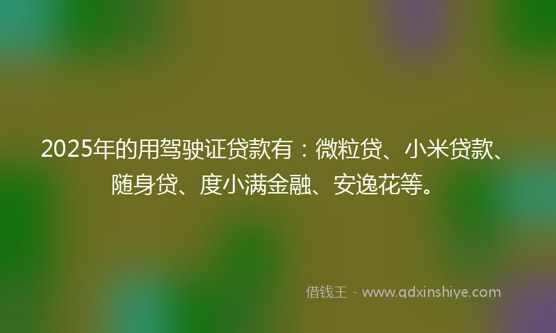 2025年的用驾驶证贷款有：微粒贷、小米贷款、随身贷、度小满金融、安逸花等。