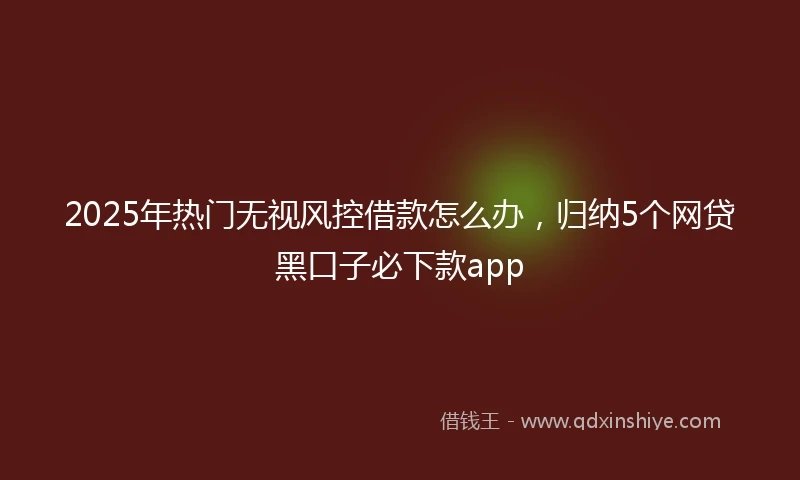 2025年热门无视风控借款怎么办，归纳5个网贷黑口子必下款app