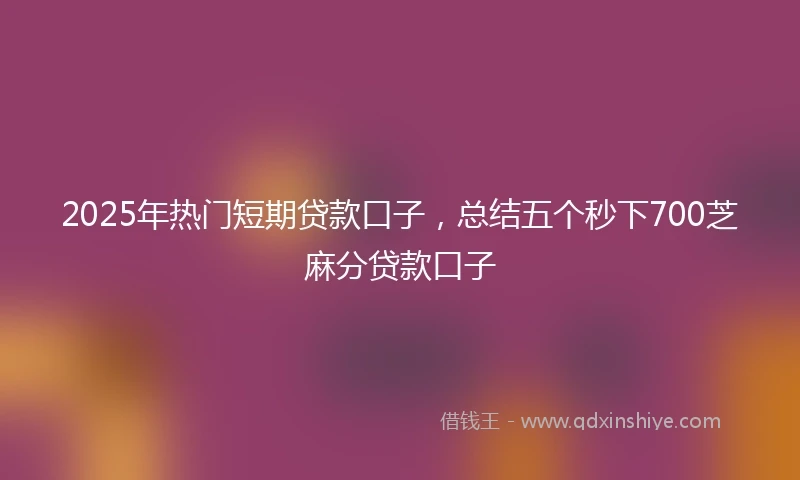 2025年热门短期贷款口子,总结五个秒下700芝麻分贷款口子