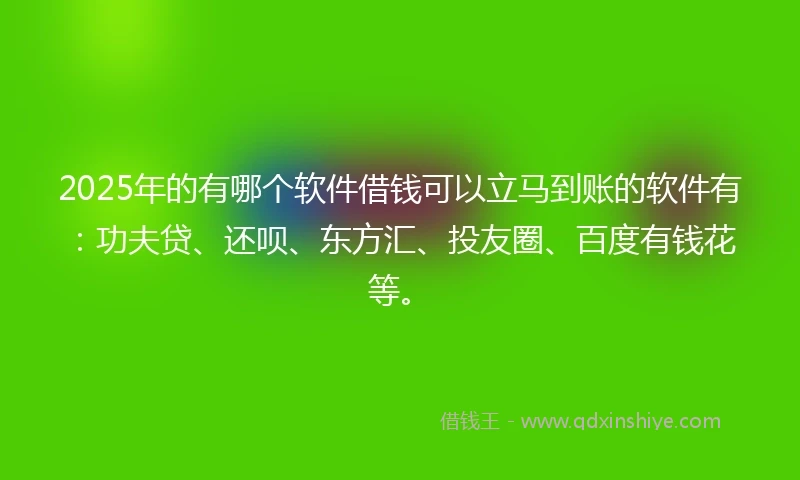 2025年的有哪个软件借钱可以立马到账的软件有：功夫贷、还呗、东方汇、投友圈、百度有钱花等。