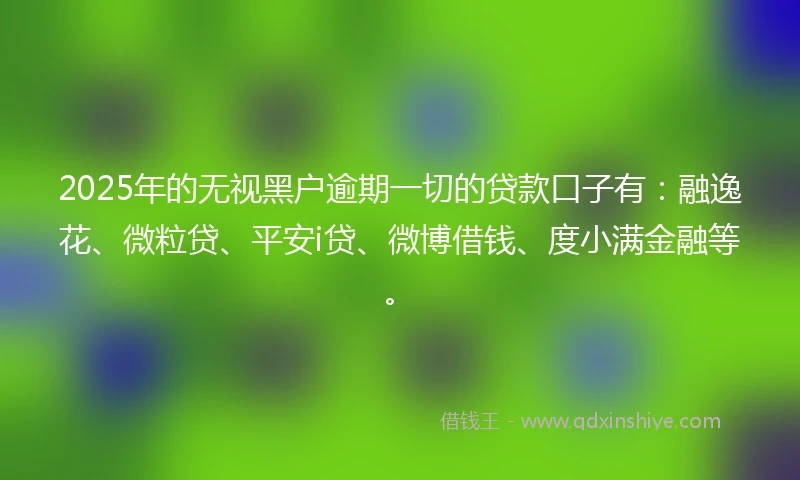 2025年的无视黑户逾期一切的贷款口子有：融逸花、微粒贷、平安i贷、微博借钱、度小满金融等。