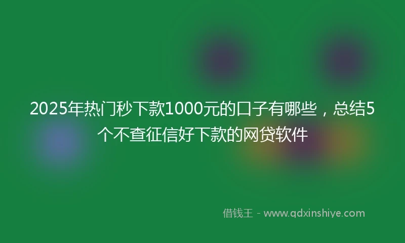 2025年热门秒下款1000元的口子有哪些,总结5个不查征信好下款的网贷软件