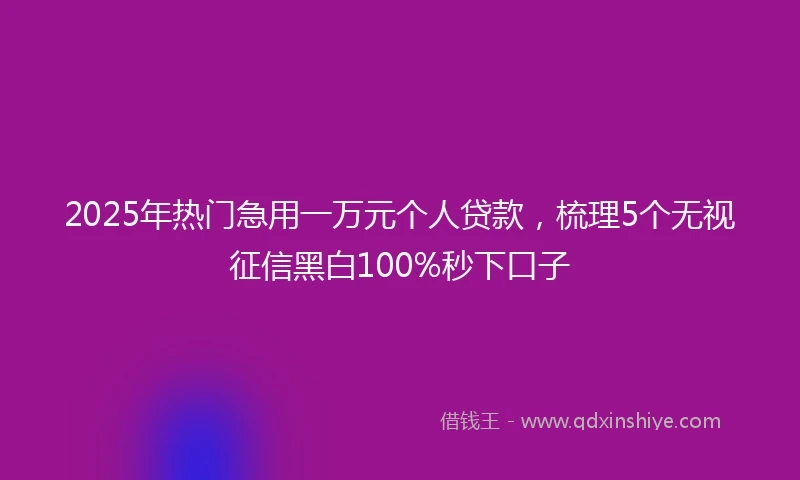 2025年热门急用一万元个人贷款，梳理5个无视征信黑白100%秒下口子