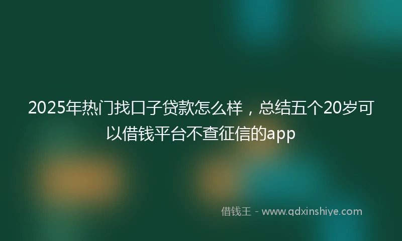 2025年热门找口子贷款怎么样，总结五个20岁可以借钱平台不查征信的app