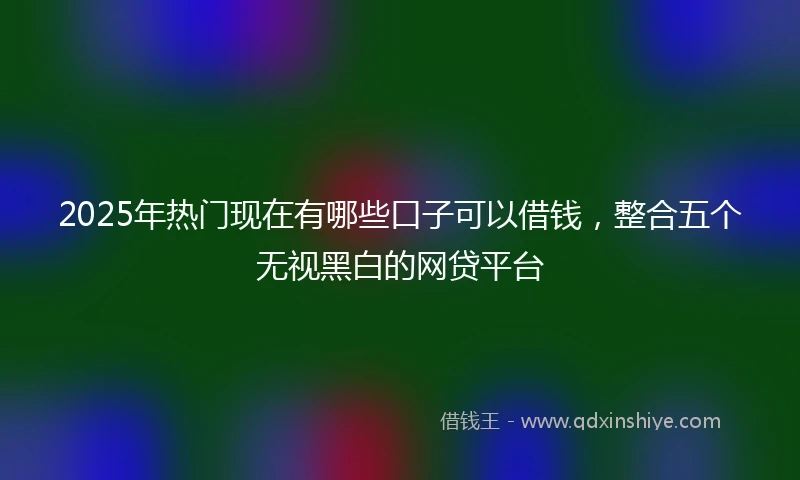 2025年热门现在有哪些口子可以借钱，整合五个无视黑白的网贷平台
