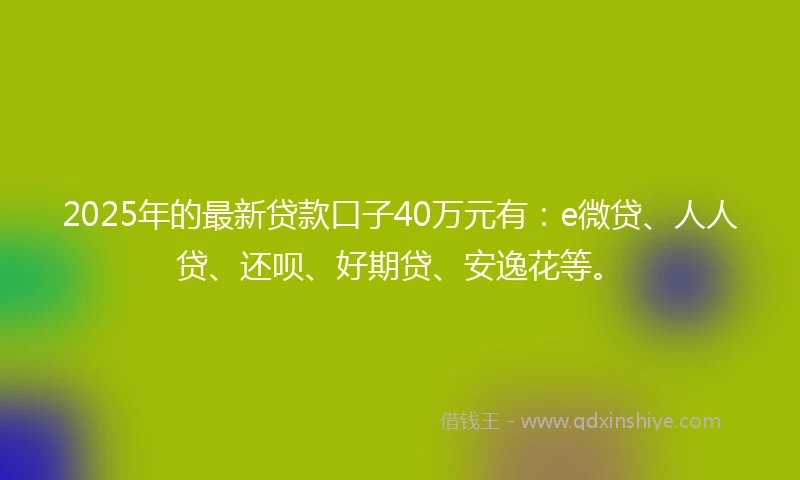2025年的最新贷款口子40万元有：e微贷、人人贷、还呗、好期贷、安逸花等。