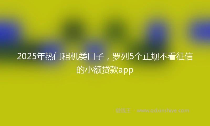 2025年热门租机类口子，罗列5个正规不看征信的小额贷款app