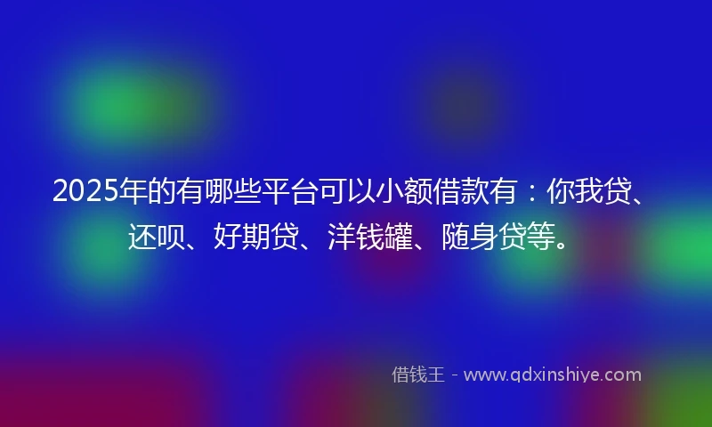 2025年的有哪些平台可以小额借款有：你我贷、还呗、好期贷、洋钱罐、随身贷等。