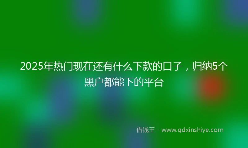 2025年热门现在还有什么下款的口子，归纳5个黑户都能下的平台