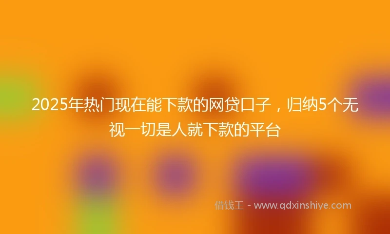 2025年热门现在能下款的网贷口子，归纳5个无视一切是人就下款的平台