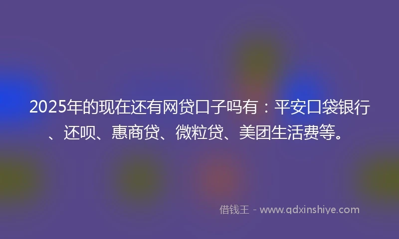 2025年的现在还有网贷口子吗有：平安口袋银行、还呗、惠商贷、微粒贷、美团生活费等。