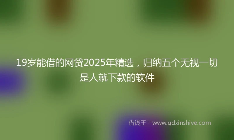 19岁能借的网贷2025年精选，归纳五个无视一切是人就下款的软件