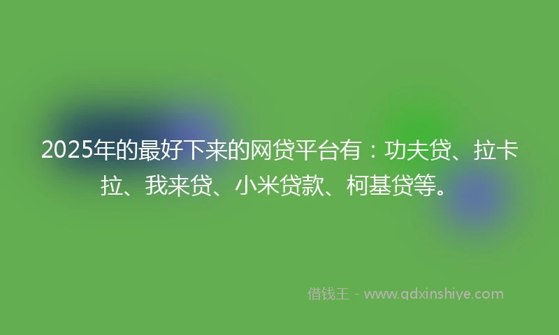 2025年的最好下来的网贷平台有：功夫贷、拉卡拉、我来贷、小米贷款、柯基贷等。