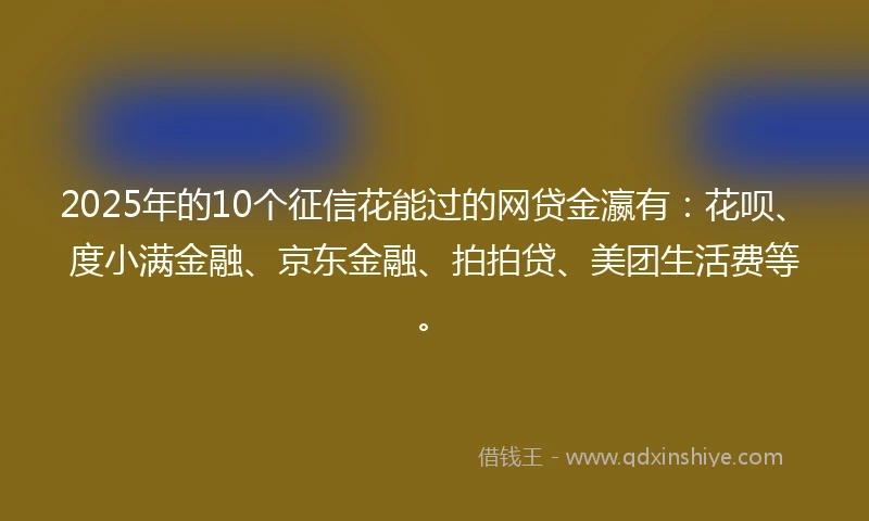 2025年的10个征信花能过的网贷金瀛有：花呗、度小满金融、京东金融、拍拍贷、美团生活费等。