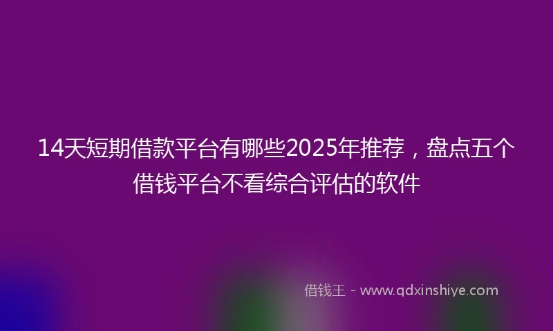 14天短期借款平台有哪些2025年推荐，盘点五个借钱平台不看综合评估的软件