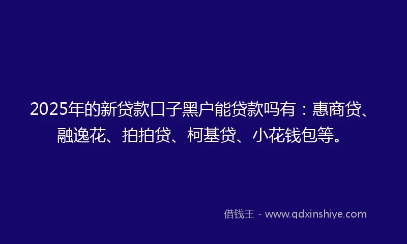 2025年的新贷款口子黑户能贷款吗有：惠商贷、融逸花、拍拍贷、柯基贷、小花钱包等。