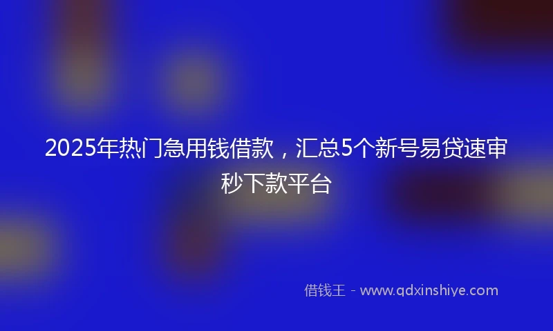2025年热门急用钱借款，汇总5个新号易贷速审秒下款平台