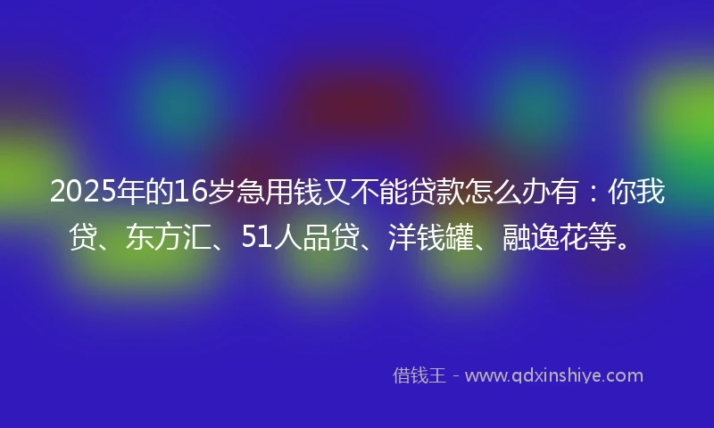 2025年的16岁急用钱又不能贷款怎么办有：你我贷、东方汇、51人品贷、洋钱罐、融逸花等。