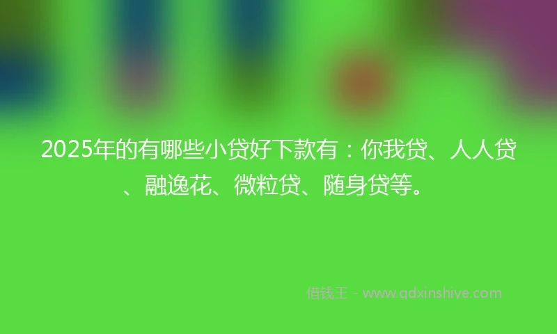 2025年的有哪些小贷好下款有：你我贷、人人贷、融逸花、微粒贷、随身贷等。
