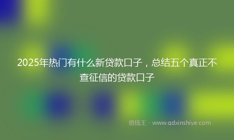 2025年热门有什么新贷款口子，总结五个真正不查征信的贷款口子