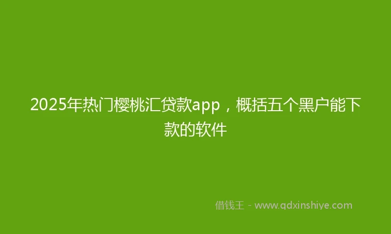 2025年热门樱桃汇贷款app，概括五个黑户能下款的软件
