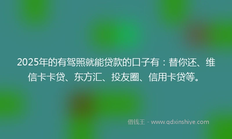 2025年的有驾照就能贷款的口子有：替你还、维信卡卡贷、东方汇、投友圈、信用卡贷等。