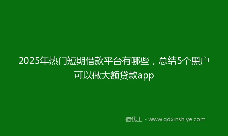 2025年热门短期借款平台有哪些，总结5个黑户可以做大额贷款app