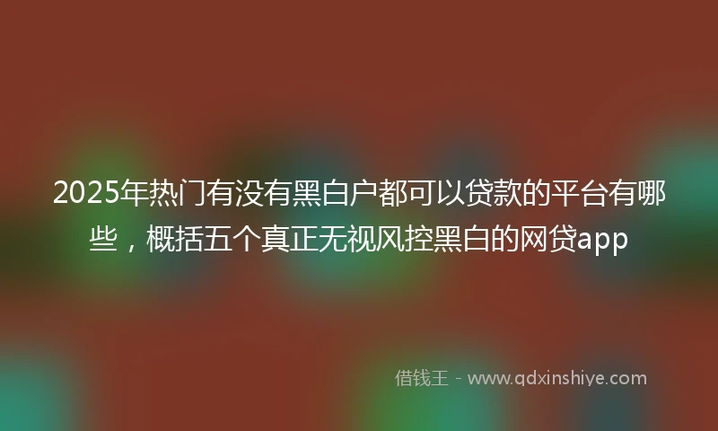 2025年热门有没有黑白户都可以贷款的平台有哪些，概括五个真正无视风控黑白的网贷app