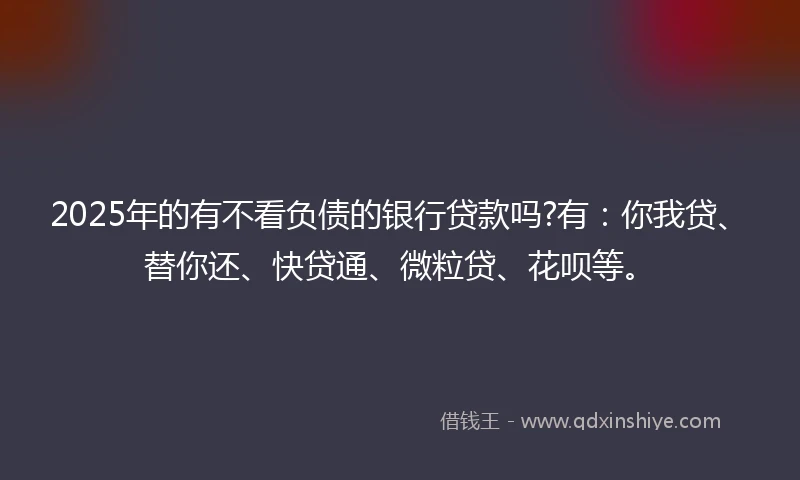 2025年的有不看负债的银行贷款吗?有：你我贷、替你还、快贷通、微粒贷、花呗等。