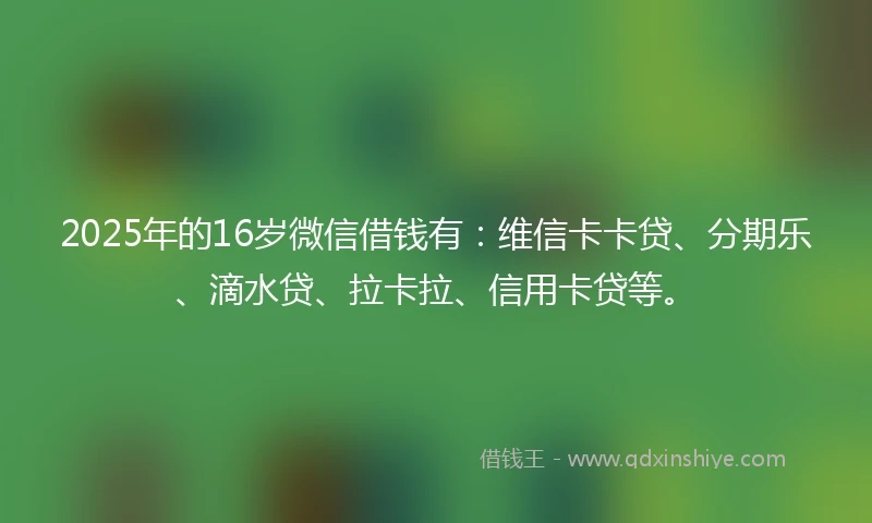 2025年的16岁微信借钱有：维信卡卡贷、分期乐、滴水贷、拉卡拉、信用卡贷等。