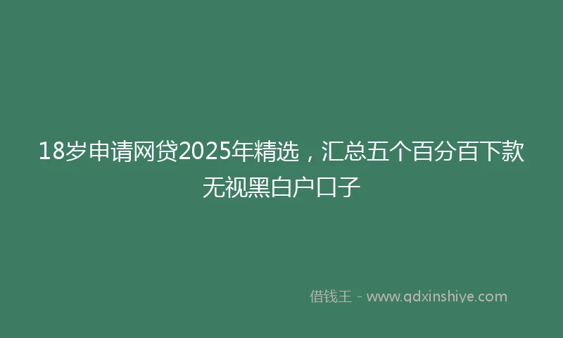 18岁申请网贷2025年精选，汇总五个百分百下款无视黑白户口子