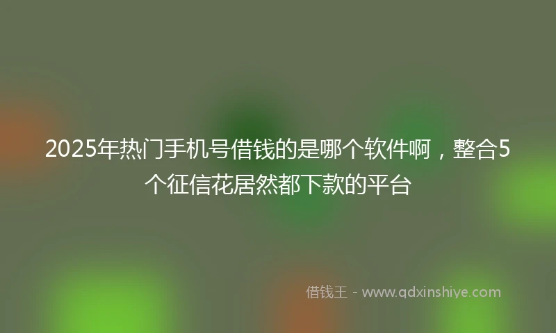 2025年热门手机号借钱的是哪个软件啊，整合5个征信花居然都下款的平台