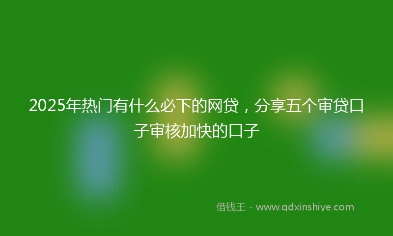 2025年热门有什么必下的网贷，分享五个审贷口子审核加快的口子