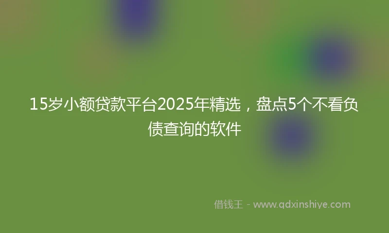 15岁小额贷款平台2025年精选，盘点5个不看负债查询的软件