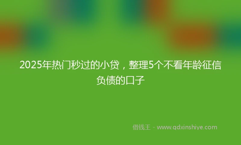 2025年热门秒过的小贷，整理5个不看年龄征信负债的口子