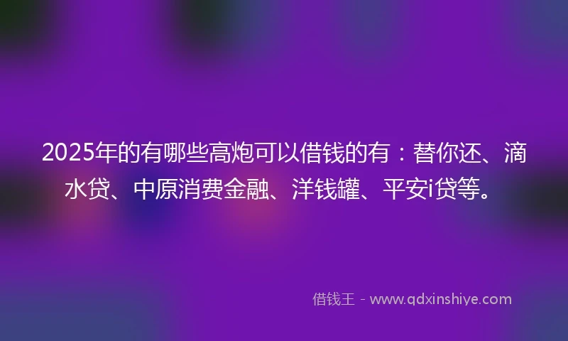 2025年的有哪些高炮可以借钱的有：替你还、滴水贷、中原消费金融、洋钱罐、平安i贷等。
