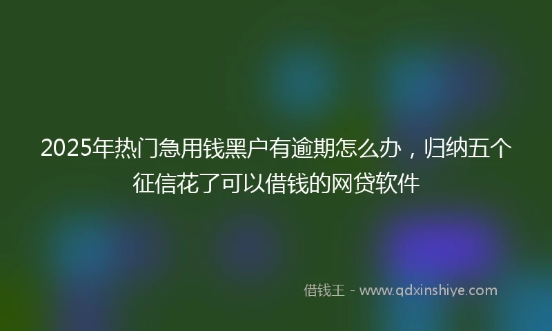 2025年热门急用钱黑户有逾期怎么办，归纳五个征信花了可以借钱的网贷软件