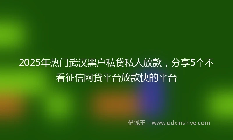 2025年热门武汉黑户私贷私人放款，分享5个不看征信网贷平台放款快的平台