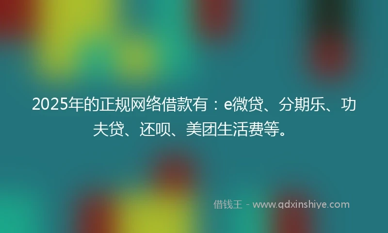 2025年的正规网络借款有：e微贷、分期乐、功夫贷、还呗、美团生活费等。